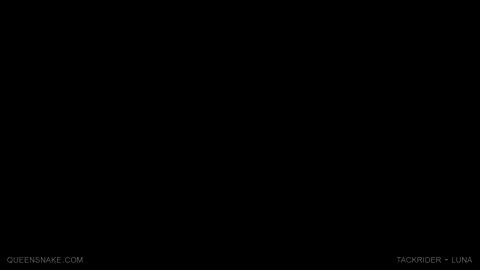 13071